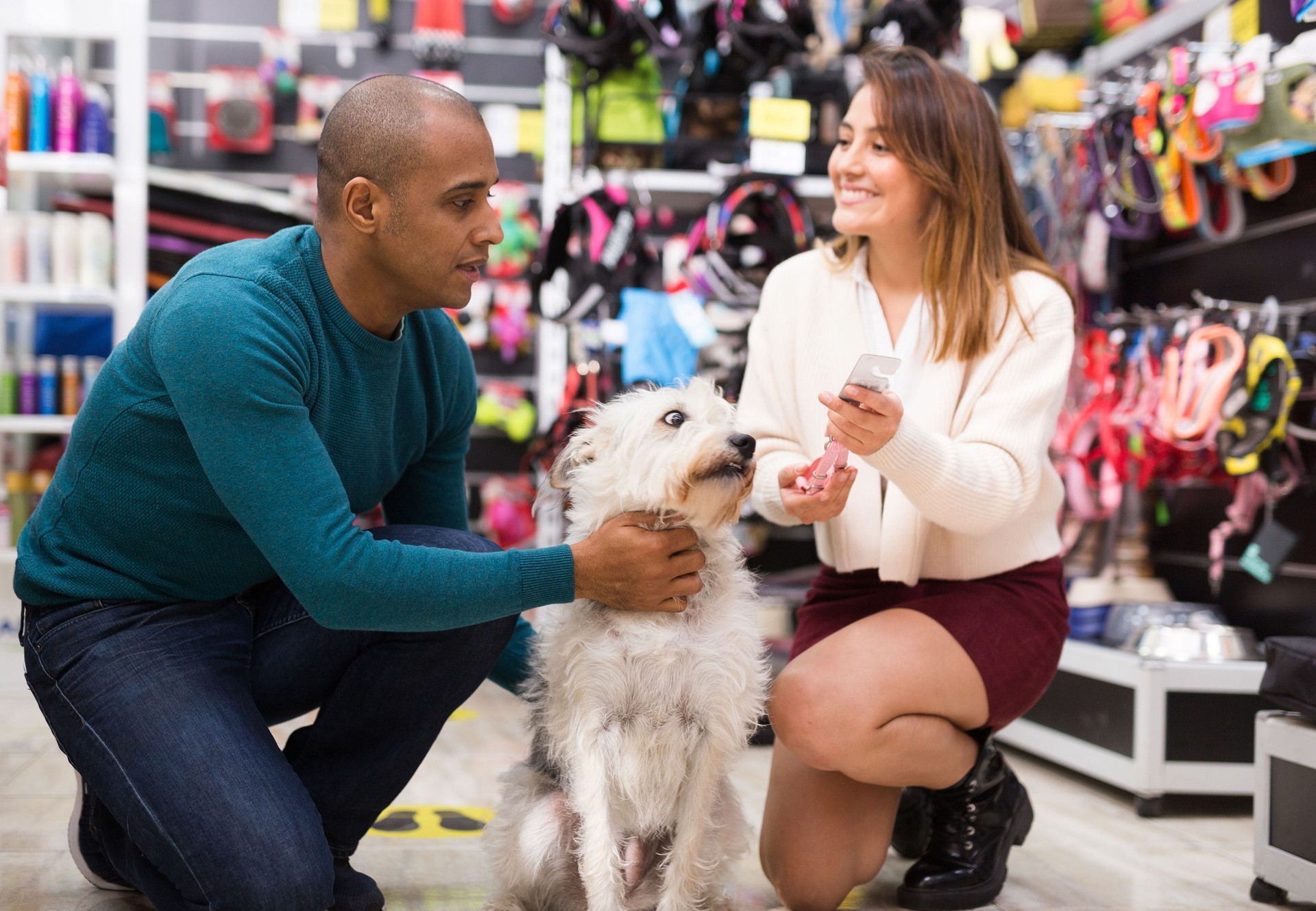 Couple looking for dog supplies in shop
